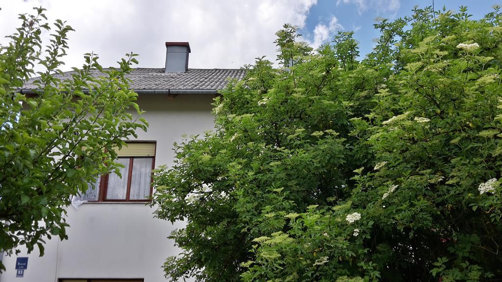 House Petkovic Hotell Korenica Eksteriør bilde